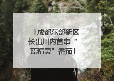 成都东部新区长出川内首串“蓝精灵”番茄